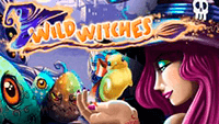 Wild Witches грати онлайн безкоштовно без реєстрації та смс